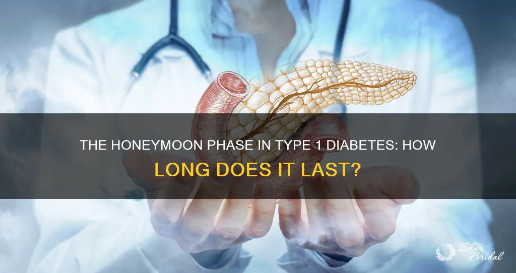 how long is the honeymoon phase in type 1 diabetes