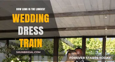 The Longest Wedding Dress Trains: How Long is Too Long?