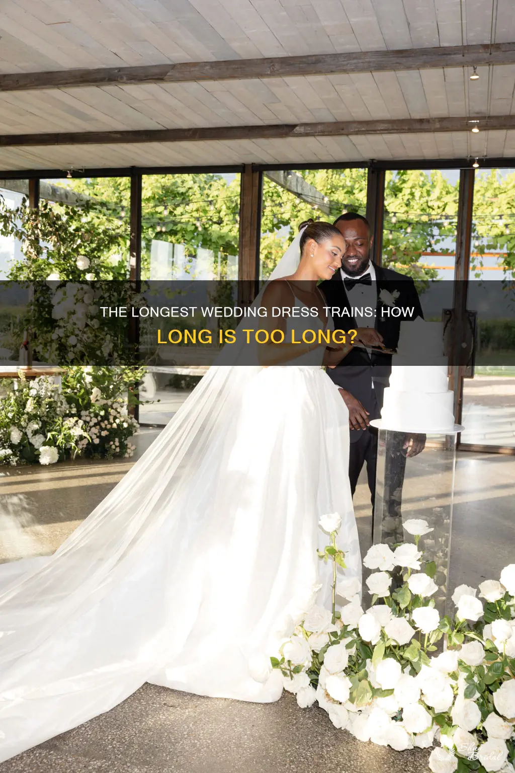 how long is the longest wedding dress train