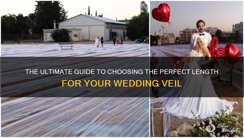 how long is the longest wedding veil