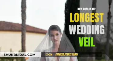 Veil Length Record: Who Wore the Longest Wedding Veil?
