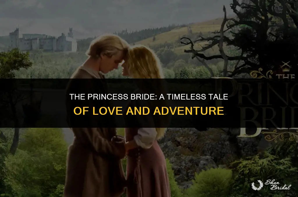 how long is the princess bride movie