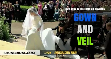 Meghan's Royal Wedding Gown and Veil: Unveiling the Train's Length