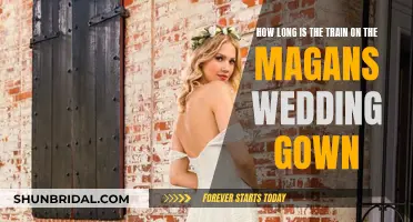 The Train's Length: A Magical Mystery on Magan's Wedding Gown