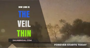 When the Veil Thins: Exploring the Timeless Connection Between Worlds