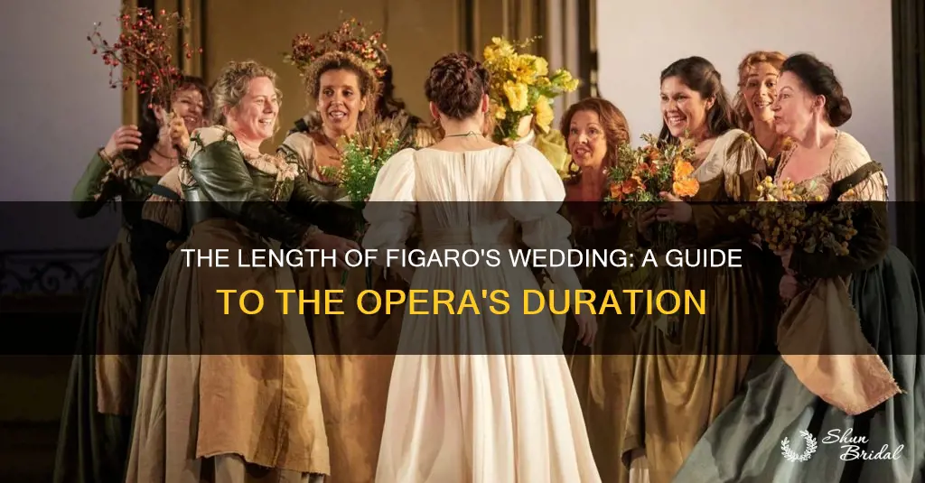 how long is the wedding of figaro