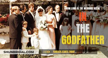 The Wedding Scene in The Godfather: How Long?