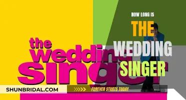 The Wedding Singer: A Fun-Filled, Feel-Good Movie Marathon