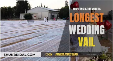 The World's Longest Wedding Veil: A Journey in Time and Fabric