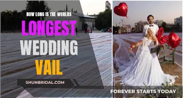 The Epic Length of the World's Longest Wedding Veil