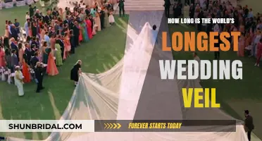 The World's Longest Wedding Veil: Unveiling a Record-Breaking Length