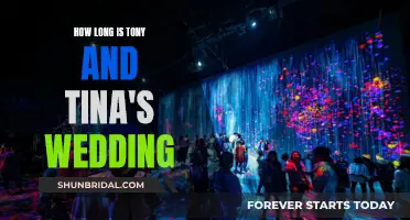 An Unforgettable Wedding Extravaganza: Tony and Tina's Big Day