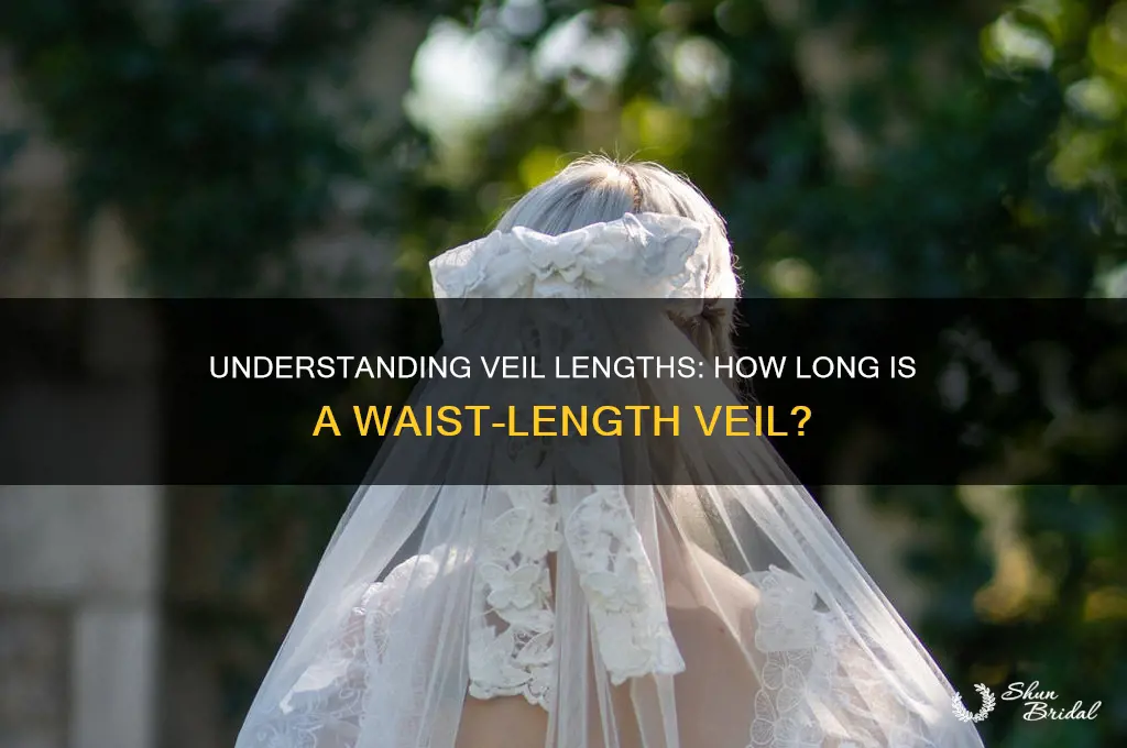 how long is veil to the waist