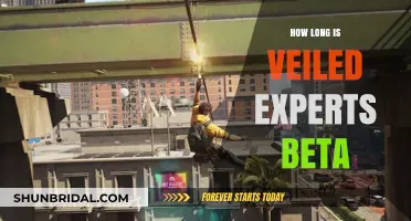 Veiled Experts Beta Duration: How Long Will It Last?