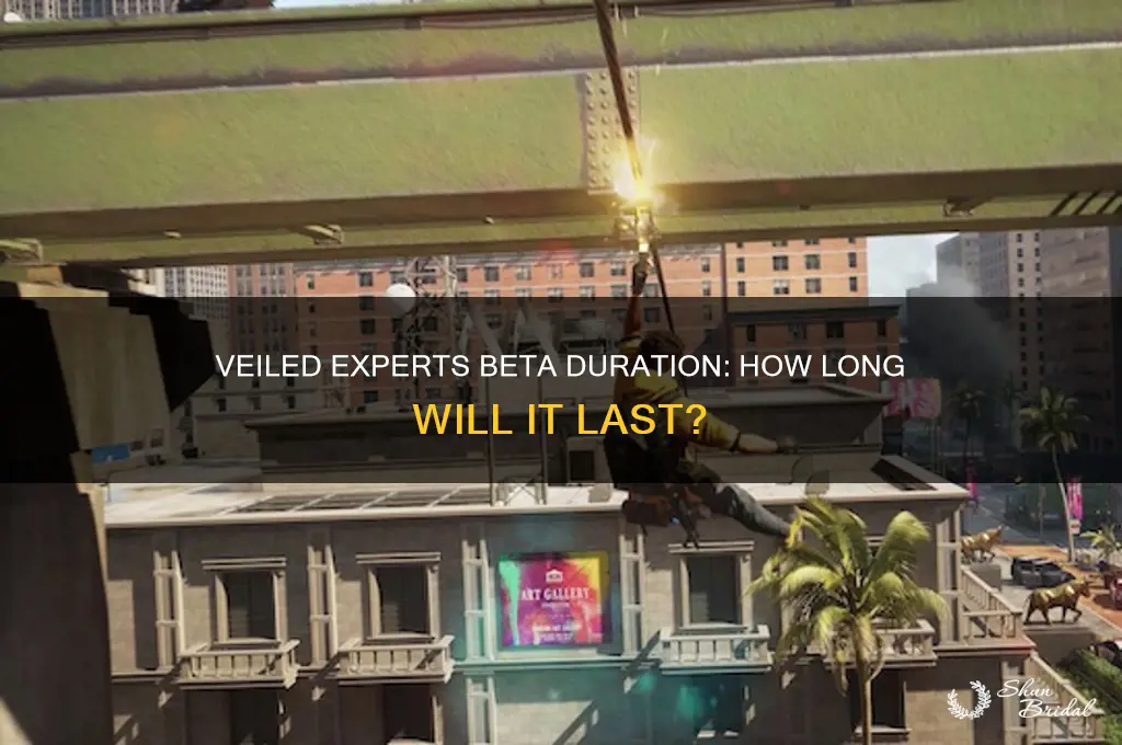 how long is veiled experts beta