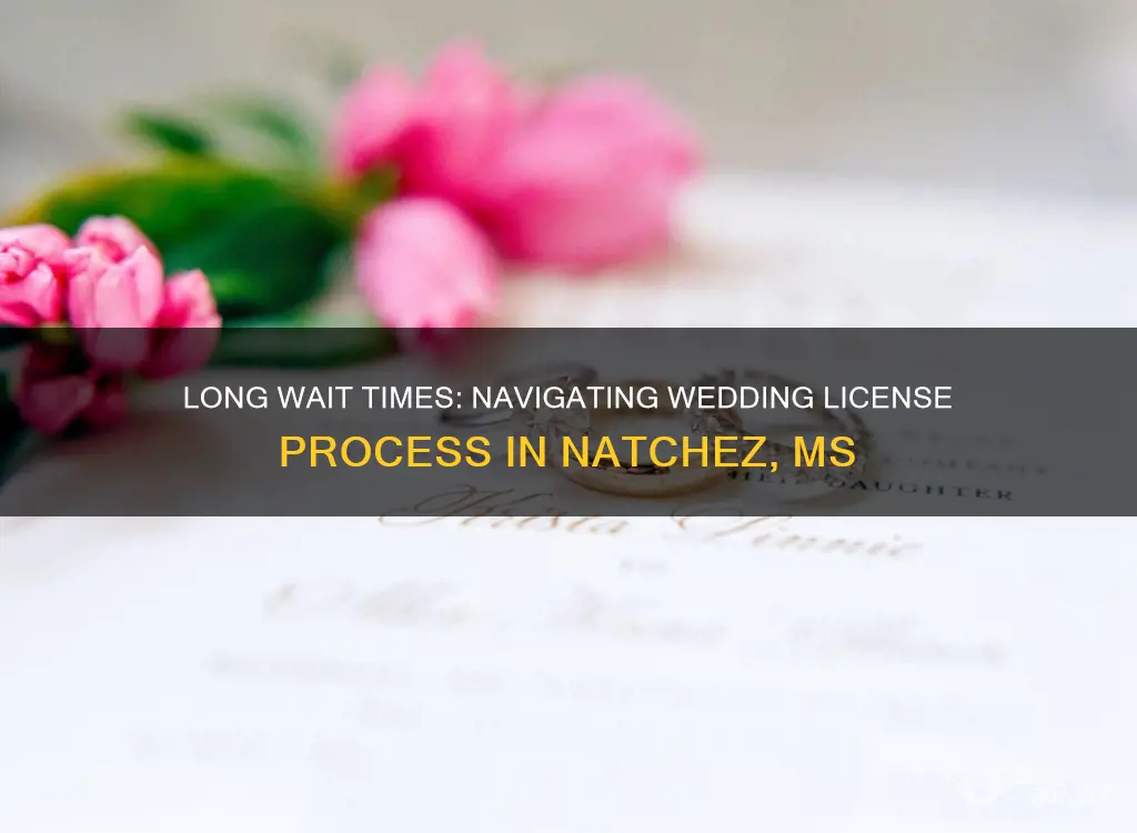 how long is wait for wedding license in nathez ms