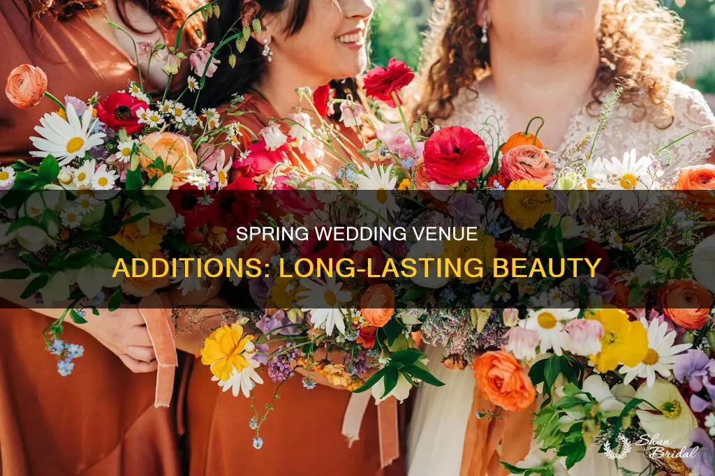 how long new spring wedding venueadderall last