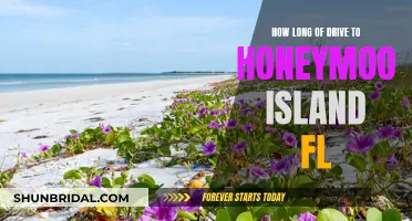Exploring Honeymoon Island: A Relaxing Drive to Paradise