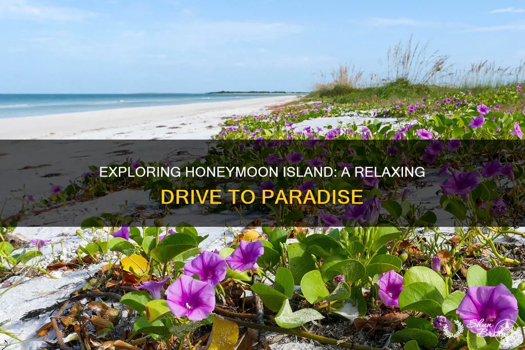 how long of drive to honeymoon island fl
