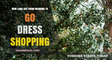 Finding the Perfect Wedding Dress: Timing Tips
