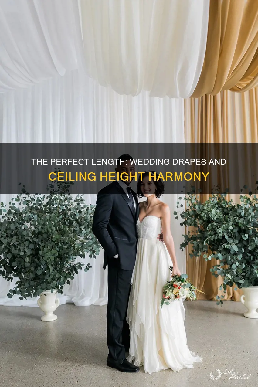 how long should backgound wedding drapes be from the celingr