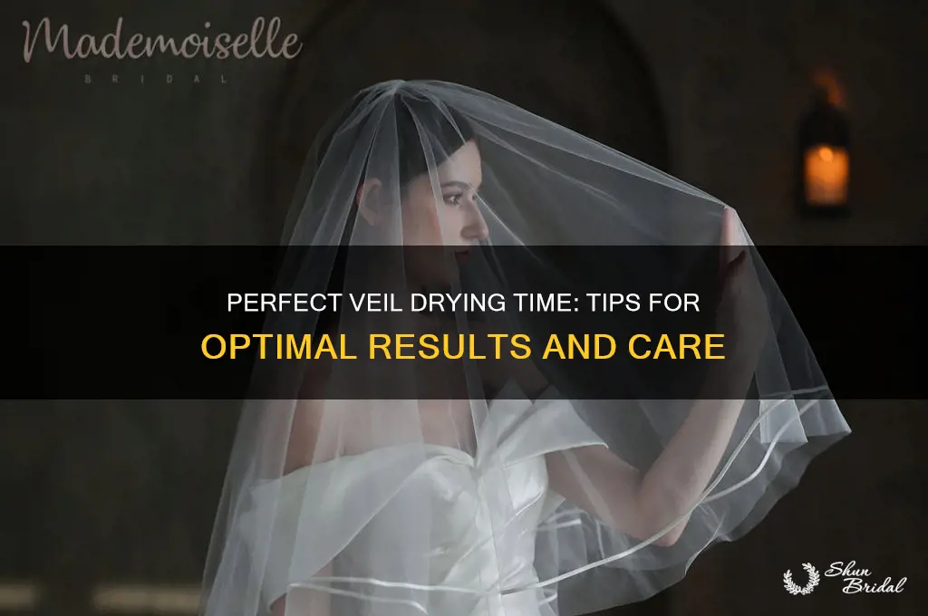how long should veil shoed dry for