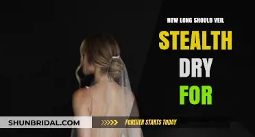Optimal Veil Stealth Drying Time: Tips for Perfect Results