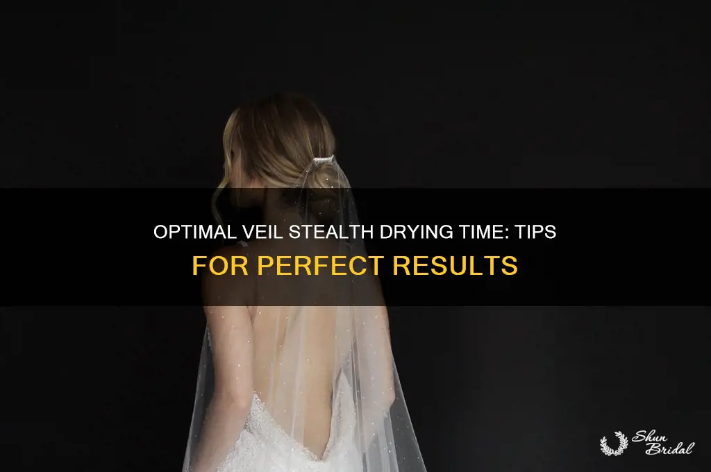 how long should veil stealth dry for