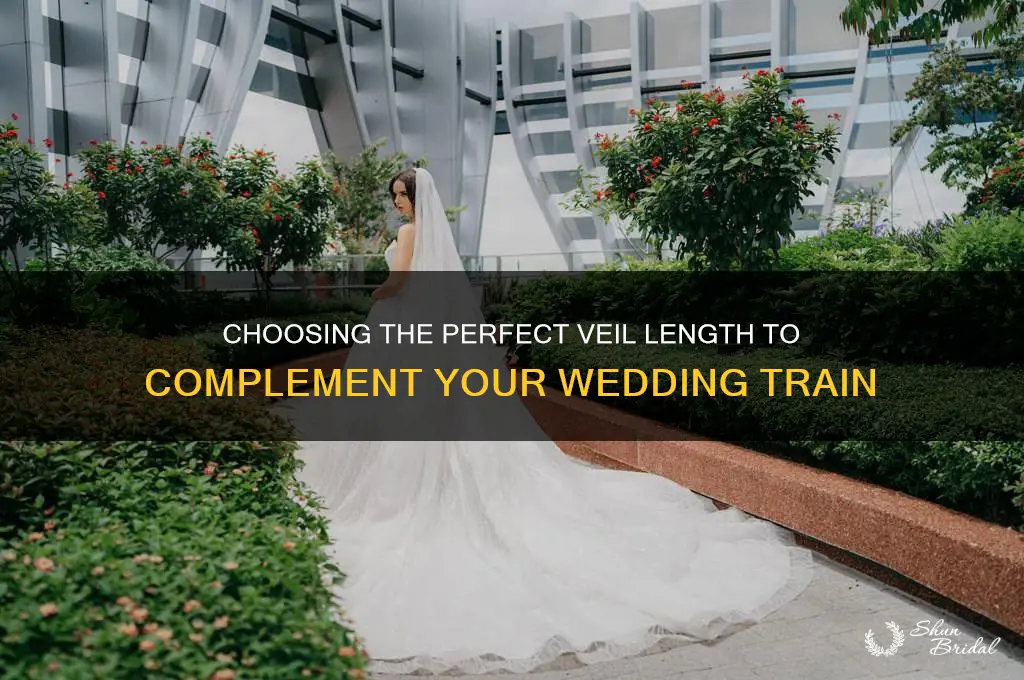 how long should your veil be depending on train