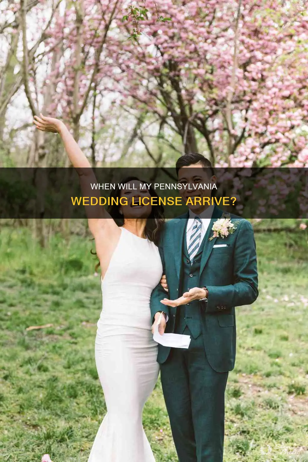 how long till my official wedding license back in Pennsylvania