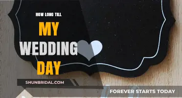 Countdown to 'I Do': Tracking Days Until Your Wedding Day