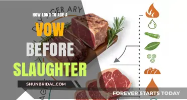 Aging Vows for Optimal Quality: Timing Before Slaughter Explained