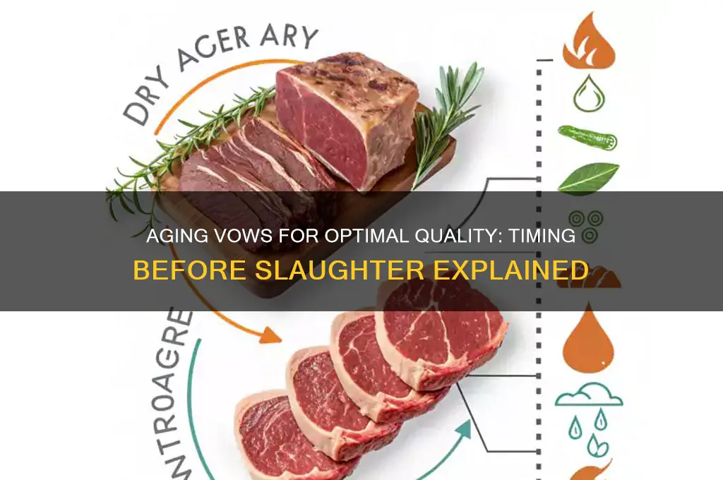 how long to age a vow before slaughter