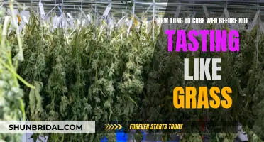 Mastering the Weed Taste: From Grass to Class