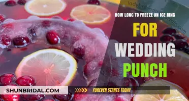 Freezing Ice Rings: The Perfect Timing for Wedding Punch