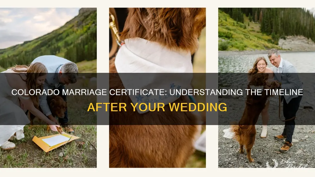 how long to get marriage certificate after wedding colorado