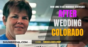 Colorado Marriage Certificates: The Post-Wedding Timeline