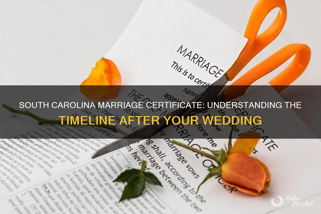 how long to get marriage certificate after wedding south carolina