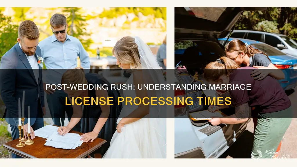 how long to get marriage license after wedding