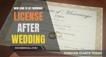 Obtaining a Marriage License: The Post-Wedding Timeline