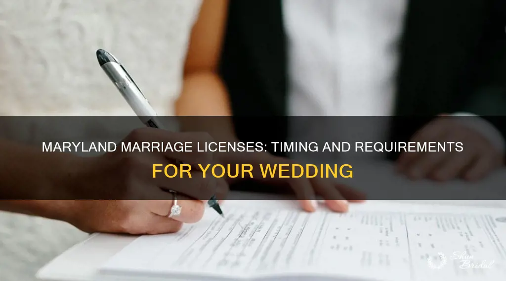 how long to get marriage license before wedding maryland