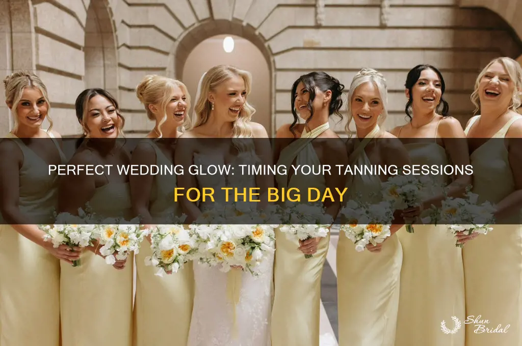 how long to go tanning before wedding
