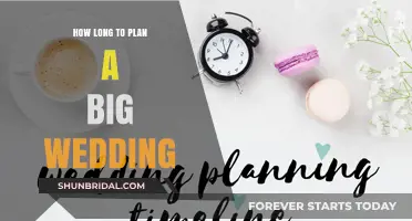 The Ultimate Guide: Planning Your Dream Wedding in 6-12 Months