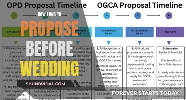 The Ideal Timeframe Between Proposal and Wedding Day