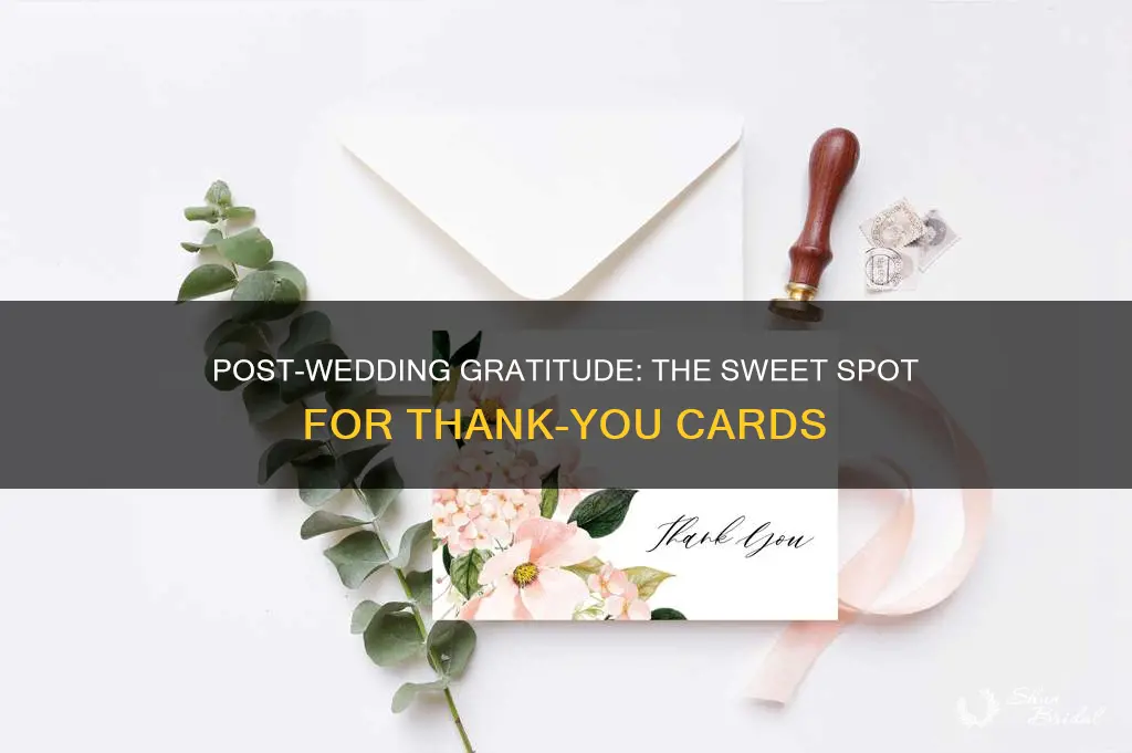 how long to send thank you cards after wedding