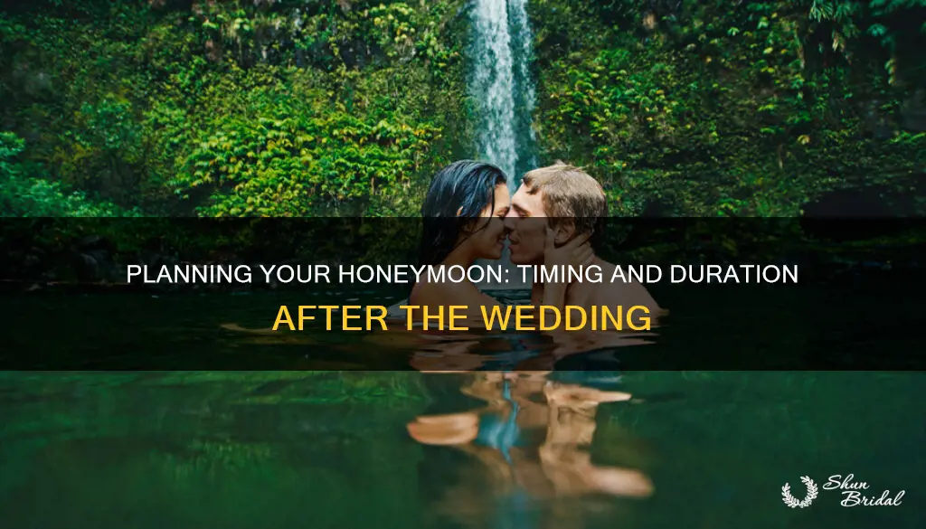 how long to wait between wedding and honeymoon