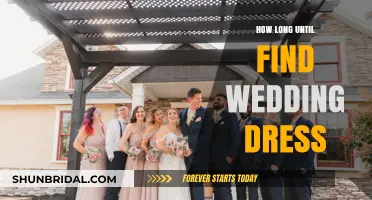 Finding the Perfect Wedding Dress: How Long Does it Take?
