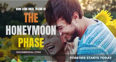 The Honeymoon Phase: How Long Does It Last?