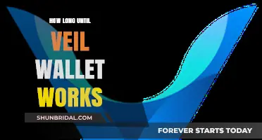 Veil Wallet Progress: Anticipated Timeline for Full Functionality