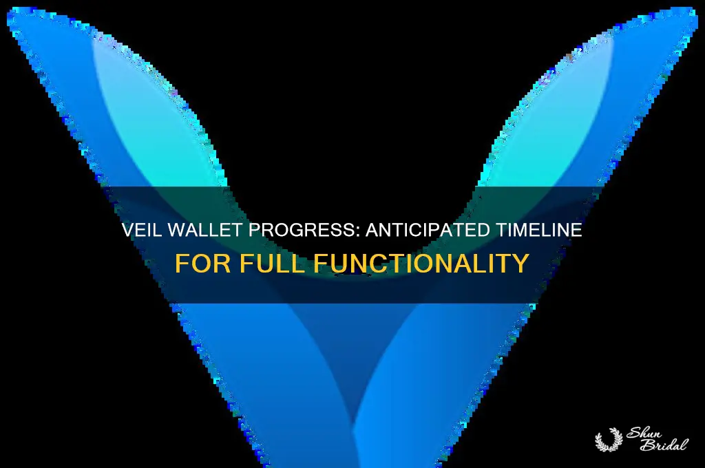 how long until veil wallet works